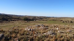 DSC06169