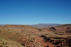 DSC00424