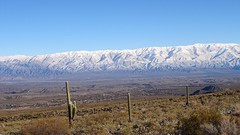 DSC06001
