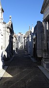 DSC06264