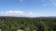 DSC06806