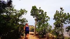 DSC06934
