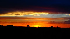 DSC06968