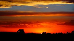 DSC06971