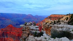 DSC06951