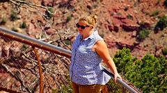 DSC07011