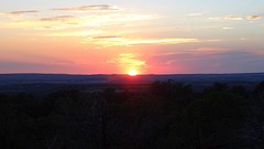 DSC07041