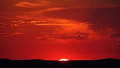 DSC07045