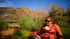 DSC07368