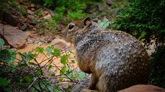 DSC07377