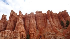 DSC07455