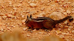 DSC07470