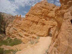 G0091044
