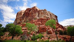 DSC07611