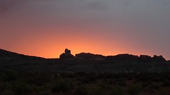 DSC07706