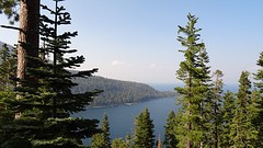 DSC07904