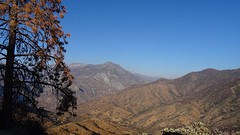 DSC07960