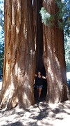 DSC08008