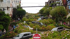 DSC08184