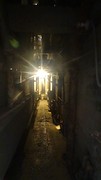 DSC08302
