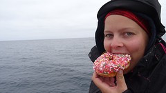 DSC08499