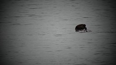 DSC08608