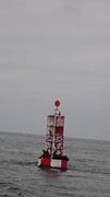 DSC08502