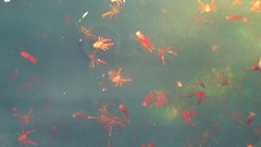 DSC08610