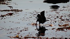 DSC08625