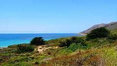 DSC08639