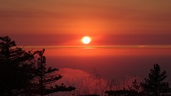 DSC08708