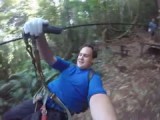 like a gibbon