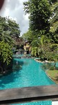 Bali Padma