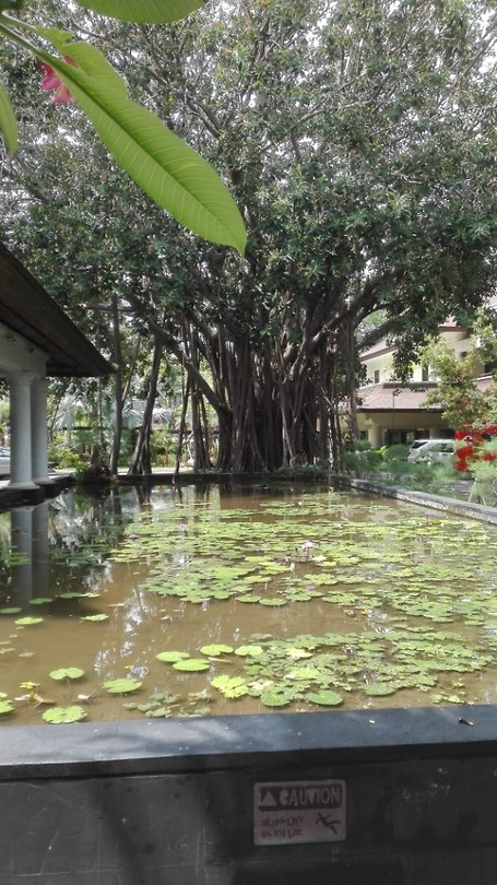 Bali Padma