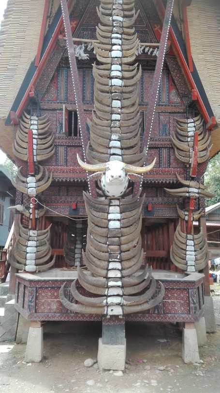 Tongkonan huis