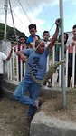 Leguaan