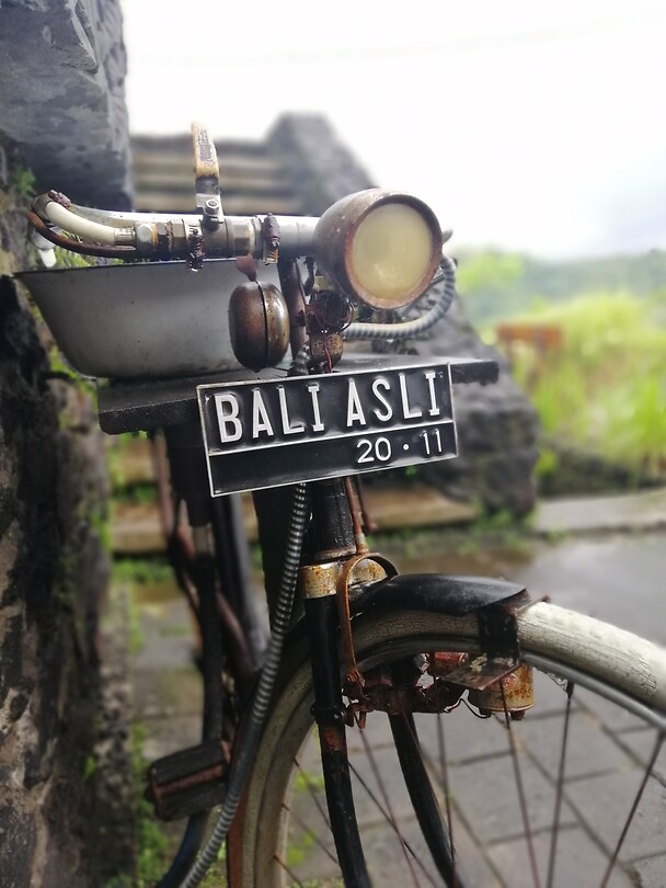 Bali Asli