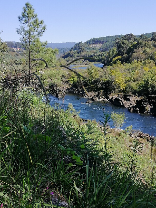 Rio Miñho