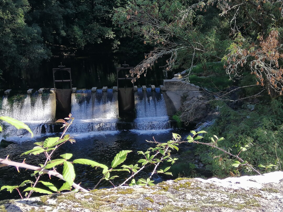 Rio Deva