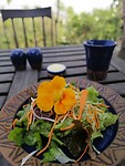 Lunch Namobuddha resort