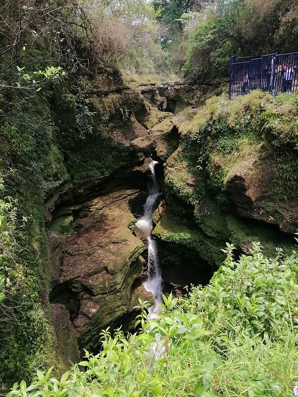 Davis Falls