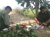 Lunch in de jungle