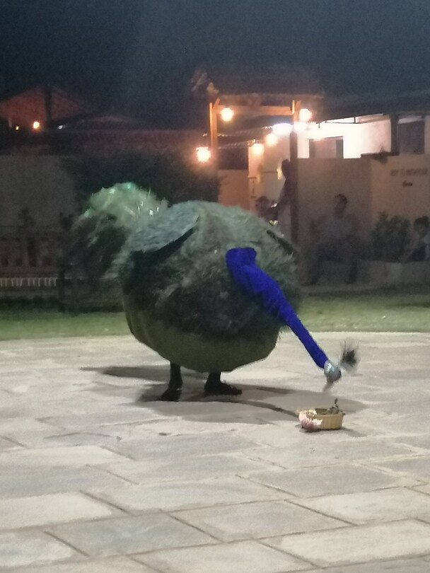 Pauwendans