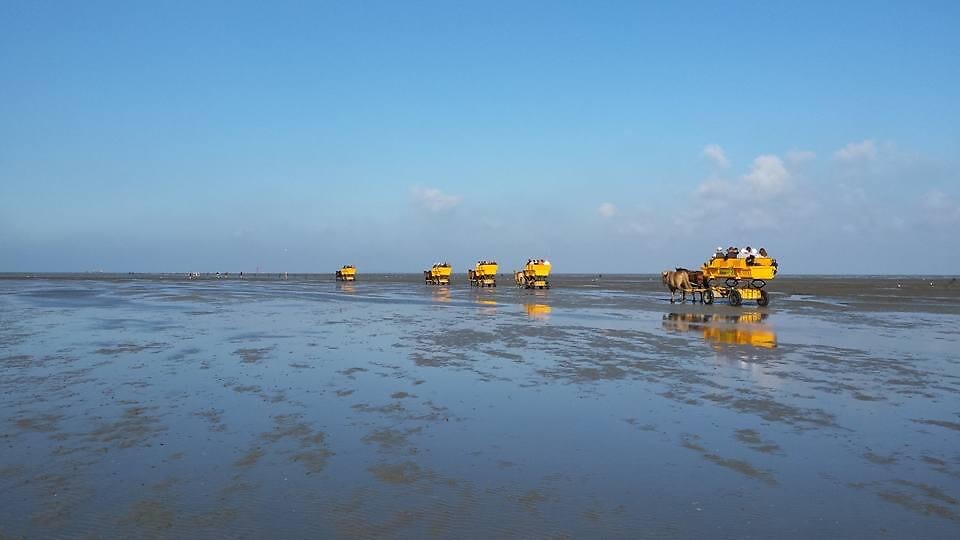 Op weg naar Neuwerk