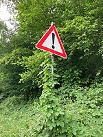 Laat de natuur zijn gang maar gaan