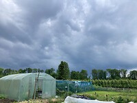 In de verte rommelt het
