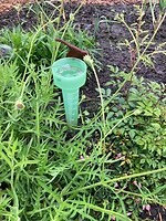 Overgelopen