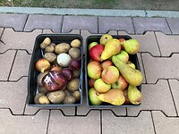 We gaan op reis en nemen mee