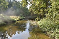 De Swalm