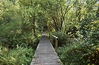 Langs de Swalm